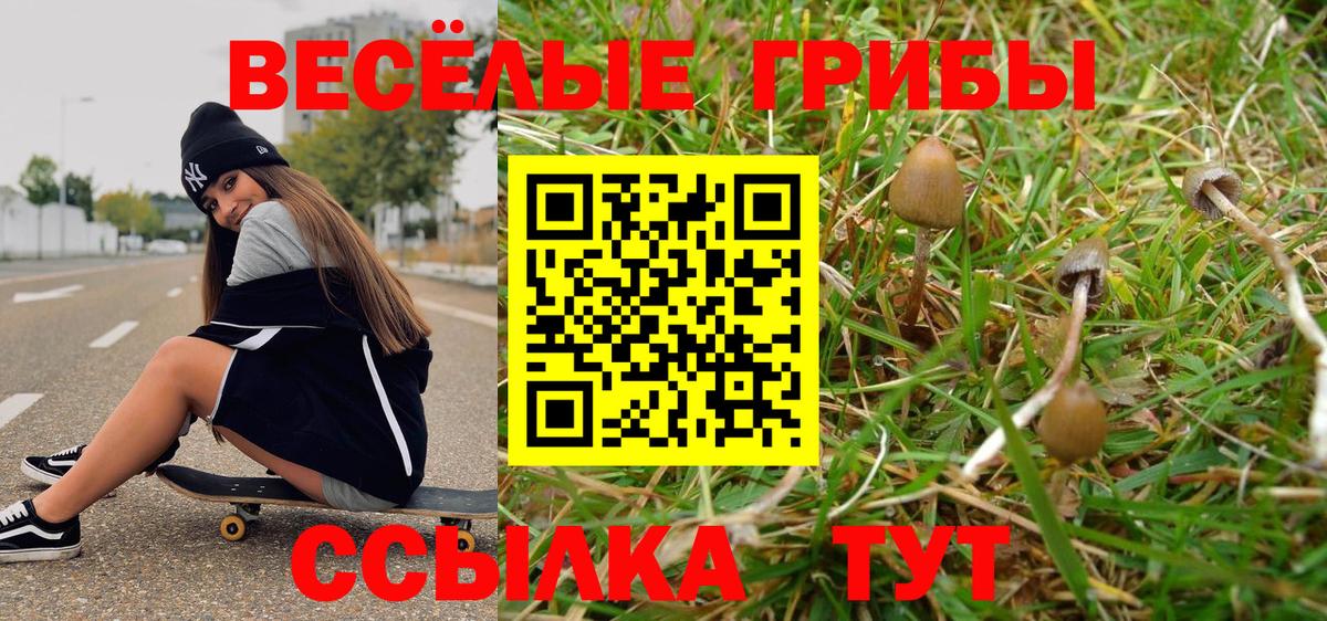 Галлюциногенные грибы Psilocybe Ялта